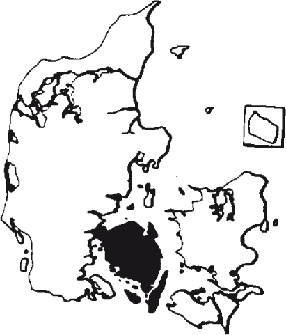 Fyn