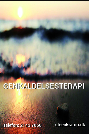 Netværk